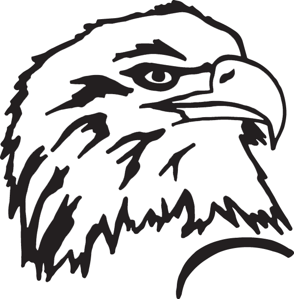 (image for) American Bald Eagle